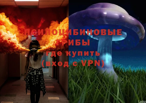 марихуана Арсеньев
