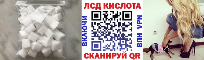 darknet наркотические препараты  Кондрово  ЛСД экстази ecstasy 