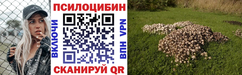 купить   Кондрово  Псилоцибиновые грибы мухоморы 